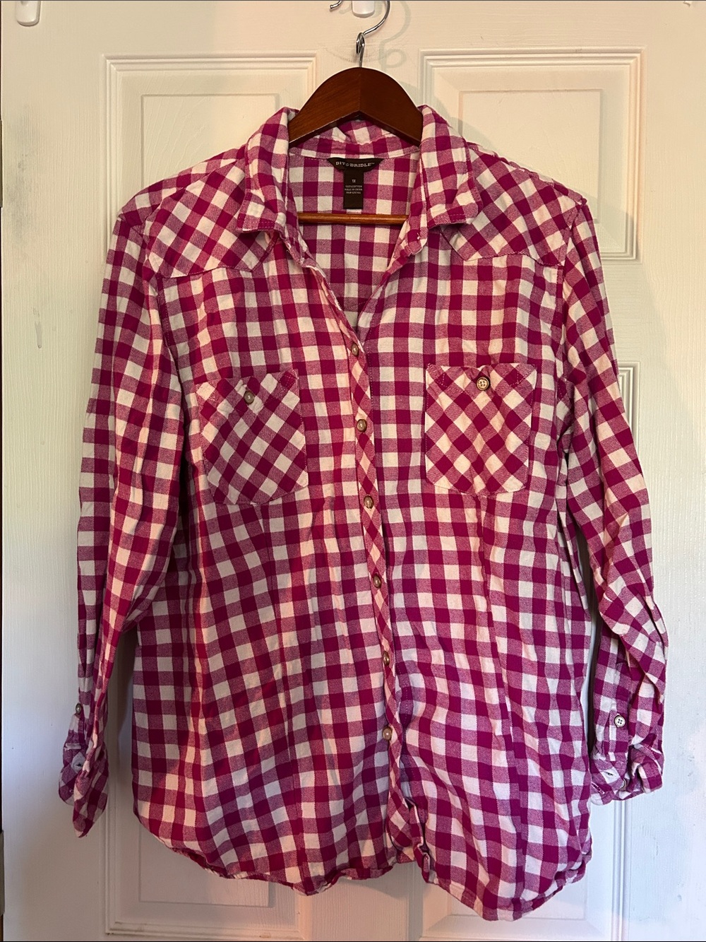 Classic Pink and White Plaid Button-Up Womens shirt